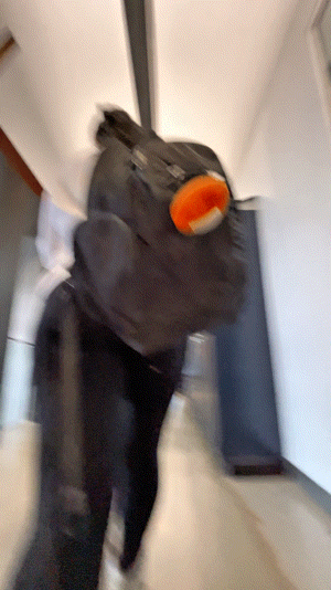 Pretty Arab College Girl’s Red Panties Are Showing Through Her Leggings