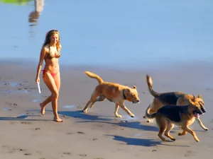 Sexy candid beach and bikini girls