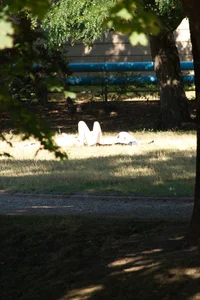 Creepshots of some girls in the park getting some sun in bikinis