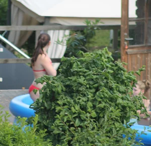 Thick babe in the backyard in red bikini
