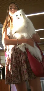 Girl in Flowery Dress with Sexy Thin Legs and a Cute Dog in Her Hands Airport Candid