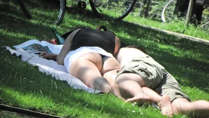 Bunch of sexy girls upskirted at parks showing their panties and asses