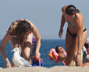 2 cute friends in bikinis on the beach