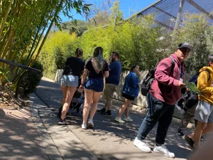 Trip at the zoo