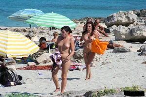 Bunch of sexy ladies on a nude beach