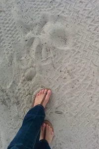 Feet in Slippers on Sand Selfie