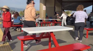 Yoga pants vpl