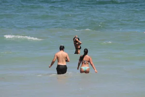 Collection of milfs in bikinis on the beach