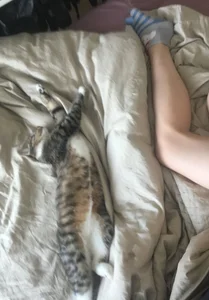 Cute Leg in a Sock in Bed with a Kitty Selfie