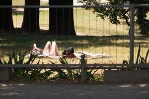 Creepshots of some girls in the park getting some sun in bikinis
