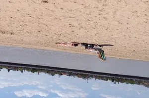 Girl laying out getting sun in a white thong bikini