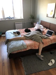 Girl Asleep in Bed under the Blanket Candid Photo