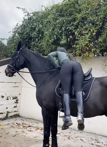 Equestrian