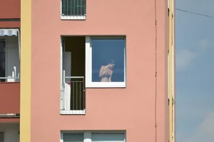 Peeping Tom pics of a topless girl in her house with nice tits
