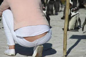 Huge collection of whale tails, ass cracks and panty peeks in public