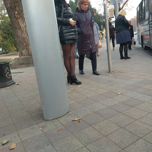 Legs in Pantyhose Bus Closeup