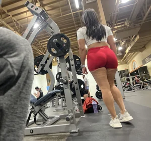 Gym goddesss  wow