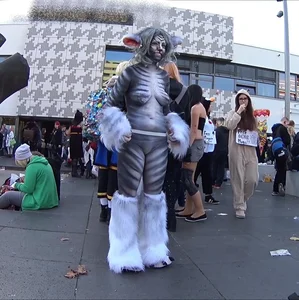 Sexy cosplay girl in a cat costume with nice tits