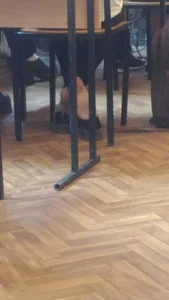 College candid teens