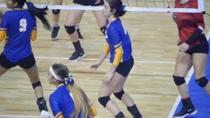 Pretty and sexy brunette college girl in spandex shorts playing volleyball