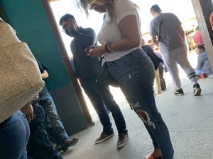 Bitch at the flea