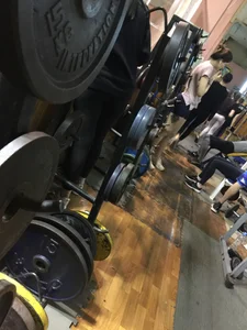 Girl with Hot Legs in Shorts Gym Creepshots
