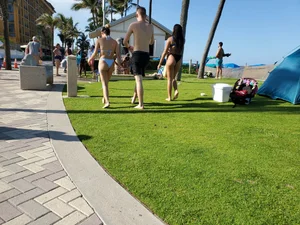 Hot Florida girls