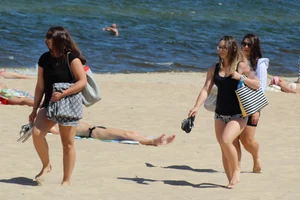 Thick and sexy friends out on the beach in shorts and bikinis