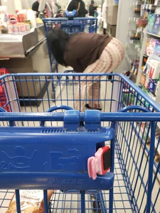 Ham Smuggler at the Grocery Store