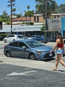 Random Walk By Shots Of Thots