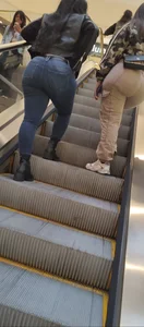 2 Giant Asses