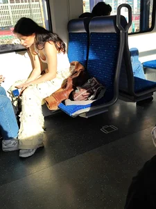 German Teen Slut Train Creepshots