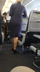 Milf Flight Attendant (OC)