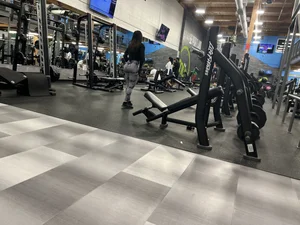 Gym latina(oc)