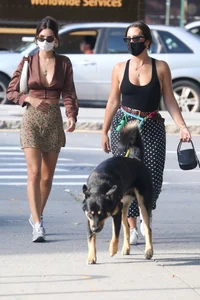 Emily Ratajkowski in mini skirt out for a walk with a friend in New York
