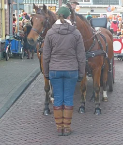 Candid horse girl wearing blue jeans street creepshot