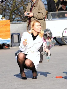 Dog lady upskirted with stockings on