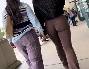 Nice ASIAN Shopping (brown Flares)