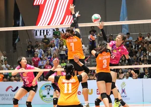 Thai candid volleyball girls
