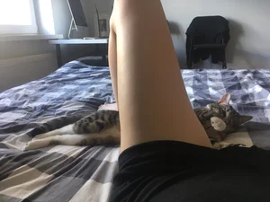 Girl Lying in Bed with Spread Legs Pussy Selfie