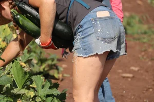 Which one do you like the most?! So many Teens and MILFs ASSES to choose from. Shorts, leggings, jean shorts. VERY HIGH RES CLOSEUP IMAGES