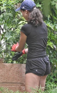 Brunette gardener in shorts bends over… and over as she works [085]
