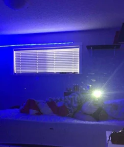 Girl in panties taking hot mirror selfies in bed