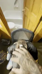 Nice home sex gifs