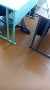 Feet in Pantyhose with Flats Taken Off Classroom Candid