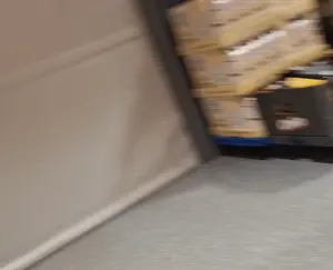 vid