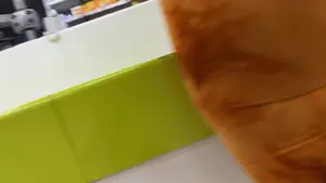 Asstronomical orange leggings