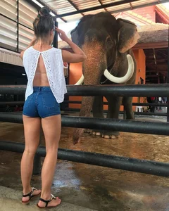 Very sexy girl wearing blue denim shorts with great legs at the zoo creepshot