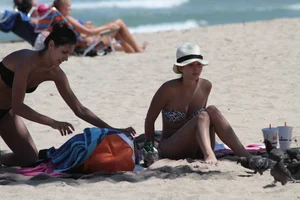 Big collection of various sexy girls on a beach in bikinis