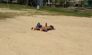 Sexy girl getting some sun laying on the beach in thong bikini